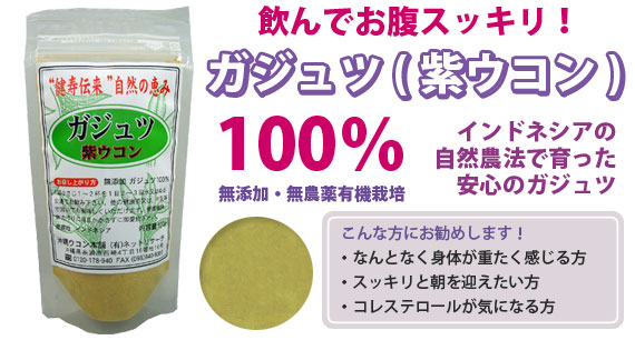 山本漢方製薬株式会社 ガジュツ粉末100％（紫ウコン）100g×20個セット-